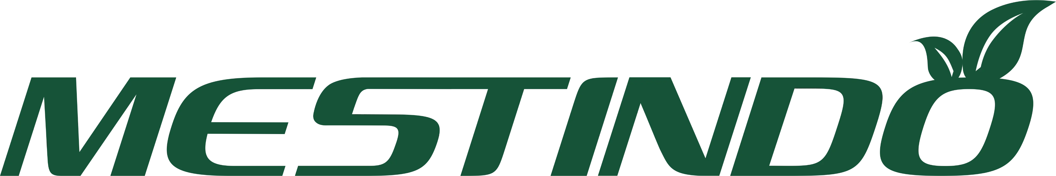 Mestindo Logo